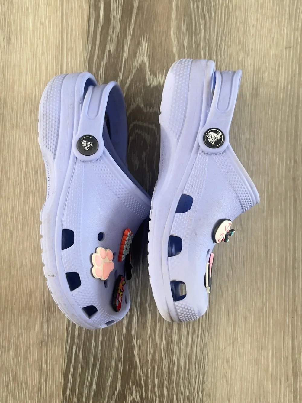 CROCS Kids Light Purple Clog Sandals with Charm Decorations